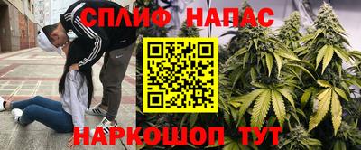кокс Можайск